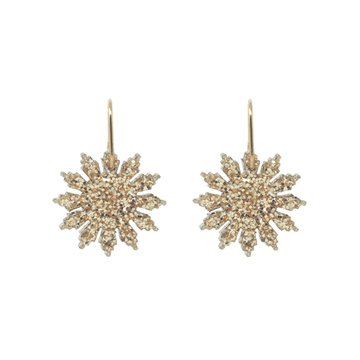 Star Earrings