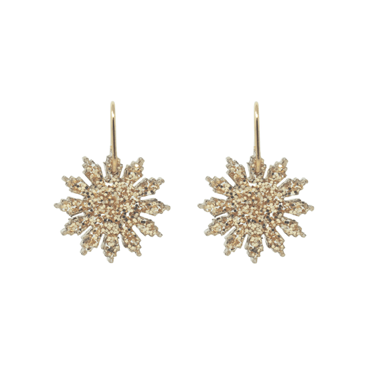Star Earrings
