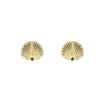 Shell bridesmaid earrings on white background