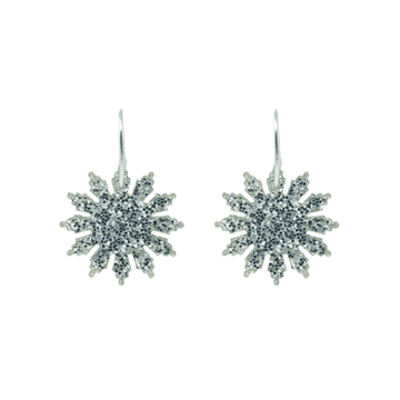 Silver Star Earrings